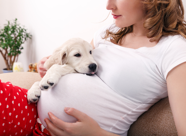 Εγκυμοσύνη και κατοικίδια ζώα: Απλοί κανόνες για… υγιή συμβίωση