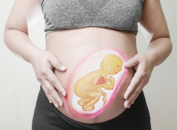 Καρδιολογικά προβλήματα στα έμβρυα: η ανίχνευση και η αντιμετώπιση