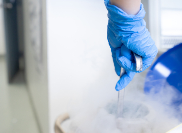 What Solutions Does Egg Freezing Offer