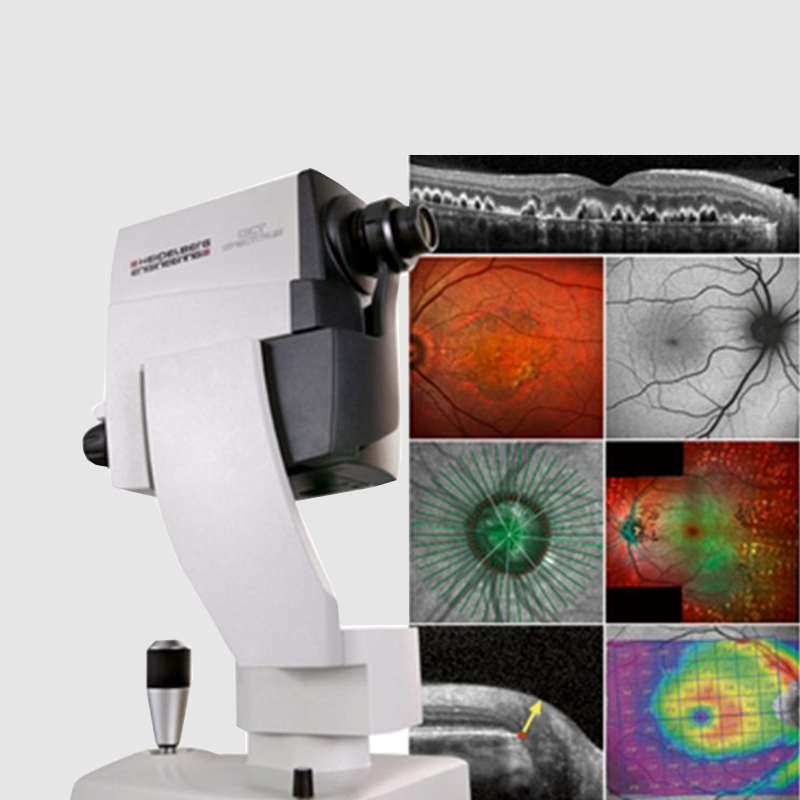 HEIDELBERG SPECTRALIS MULTI-SPECTRAL FUNDUS IMAGING (MULTICOLOUR MODULE IMAGING)